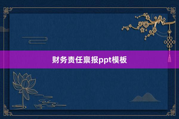 财务责任禀报ppt模板