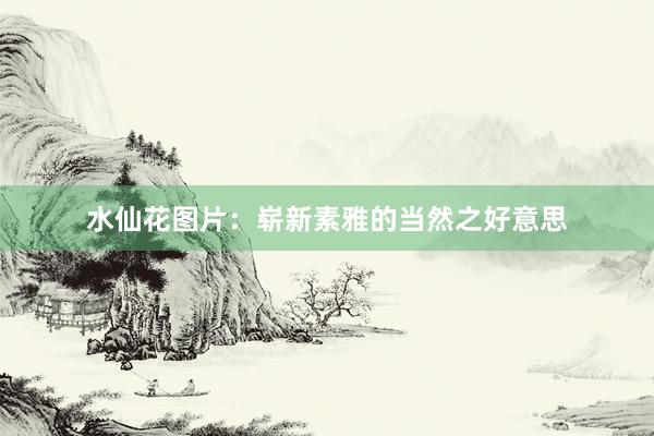 水仙花图片：崭新素雅的当然之好意思