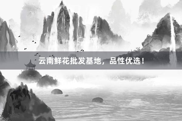 云南鲜花批发基地，品性优选！