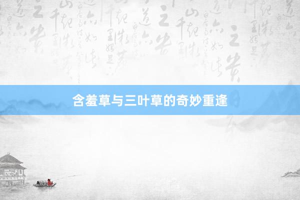 含羞草与三叶草的奇妙重逢