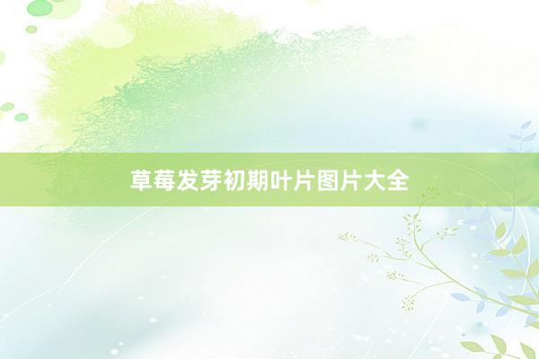 草莓发芽初期叶片图片大全