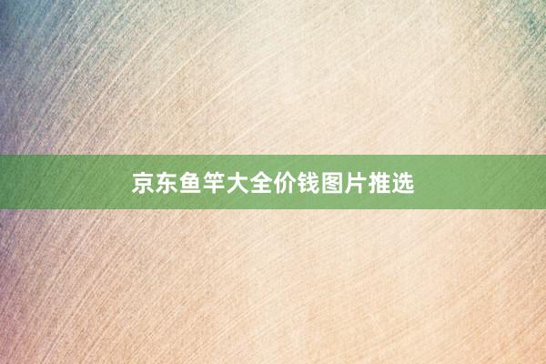 京东鱼竿大全价钱图片推选